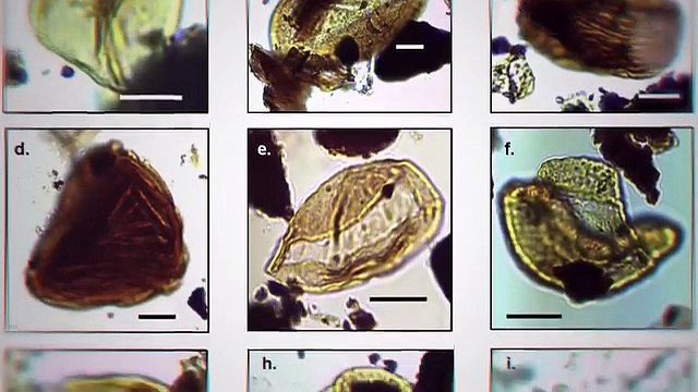 198K Views 7 Unsolved Mysteries in Antarctica 🤯😱😵 #knowledge #trending #viralvideo #zemtv Zem tv