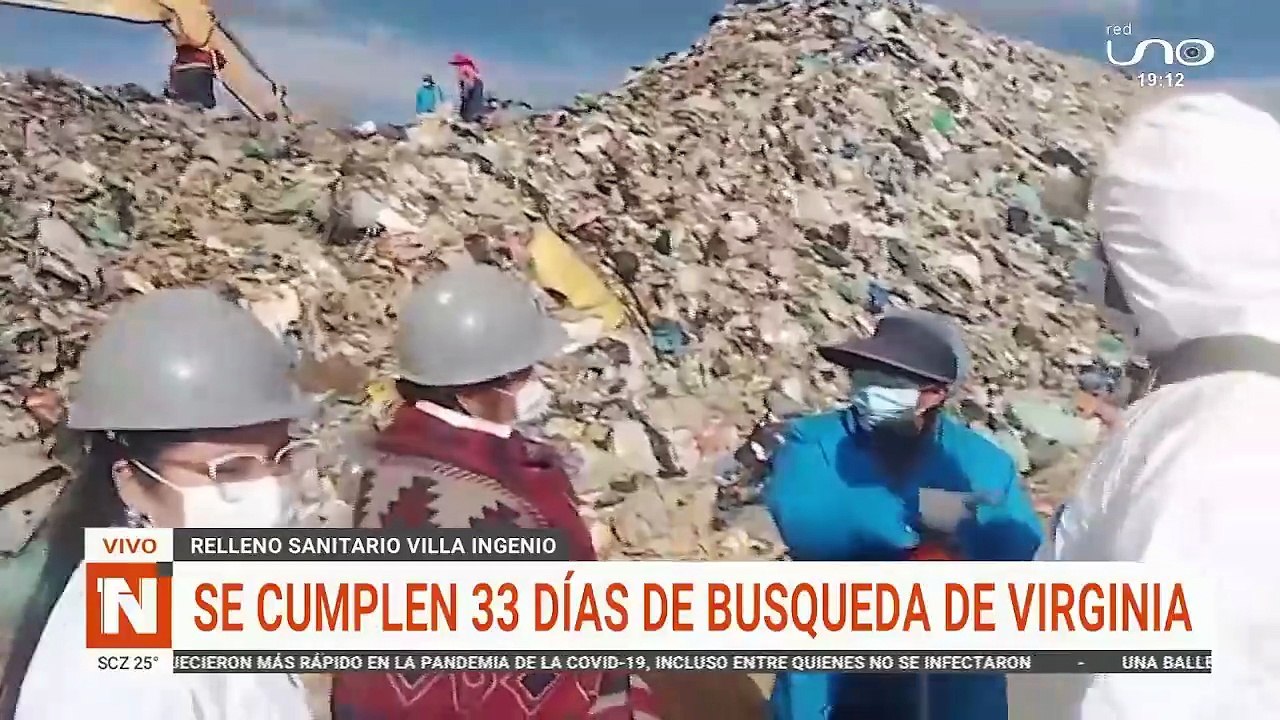 33 dias