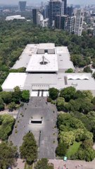 El Paraguas Gigante: El Árbol que Sostiene la Historia de México