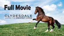 Clydesdale Saving the Greatest Horse (2020) Full Movie HD