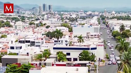 ¿Hasta dónde llega la lealtad? Conoce la historia del perrito que conmovió Sinaloa