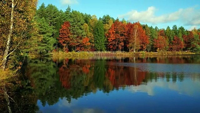 Serenity Sounds – The Ultimate Relaxation Music Collection