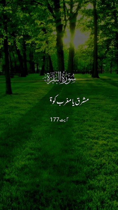 surah Al Baqra || 1 million followers #unfrezzmyaccount#islamicknowledge #ajmalrazaqadri #molanatariqjameel #foryou #capcut #1millionviews #viral #islamic #trending #trending #madina #quran #islam