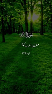 surah Al Baqra || 1 million followers #unfrezzmyaccount#islamicknowledge #ajmalrazaqadri #molanatariqjameel #foryou #capcut #1millionviews #viral #islamic #trending #trending #madina #quran #islam