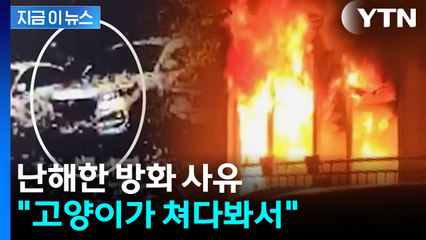 "고양이가 쳐다봐서"...아파트에 불 지른 50대 남성 [지금이뉴스]  / YTN