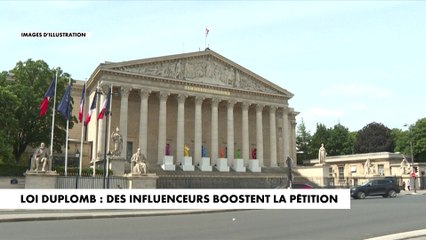 Loi Duplomb : des influenceurs boostent la pétition