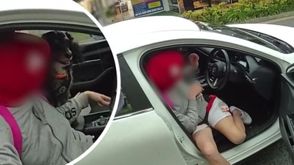 Woman charged after alleged car theft with therapy dog still inside