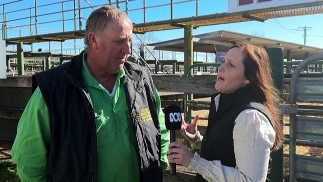 Beef producers concerned that Australia’s lift of import restrictions could crumble industry