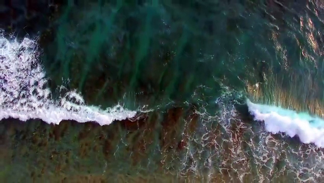 flying over coral reef in clear ocean