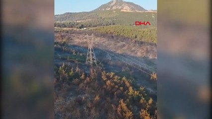 Manisa'daki orman yangını 2'nci gününde