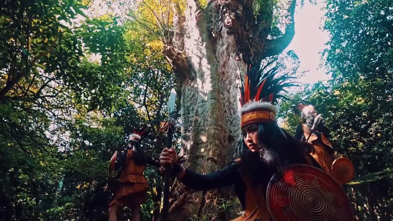 How Indigenous Wisdom Fights Climate Change