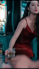 The Wronged Man Chinese Drama - English Sub