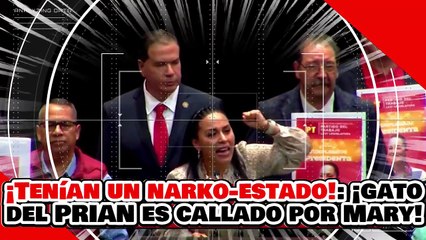 🔥🚨¡TENÍAN UN NARKO-ESTADO! ¡GATO del PRIAN es CALLADO por MARY BERNAL por ATACAR a la GUARDIA!