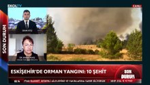 Dr. Alkış'tan orman yangınlarına ilişkin çarpıcı açıklama