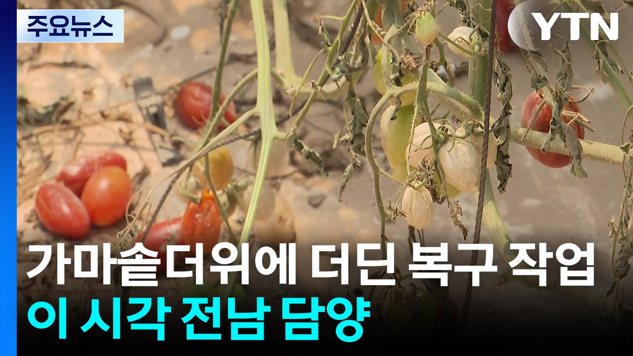 가마솥더위에 더딘 복구 작업...이 시각 전남 담양 / YTN