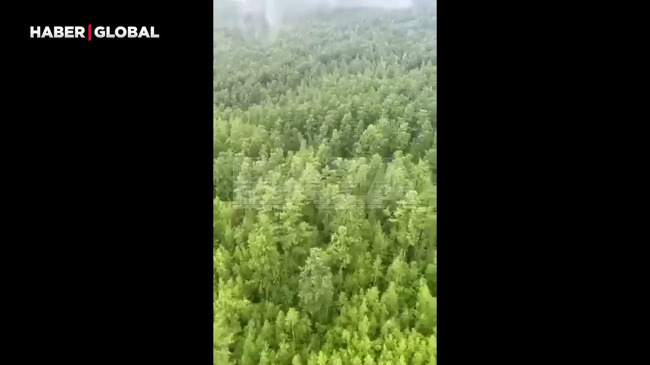 Rusya'da 49 kişiyi taşıyan yolcu uçağı düştü