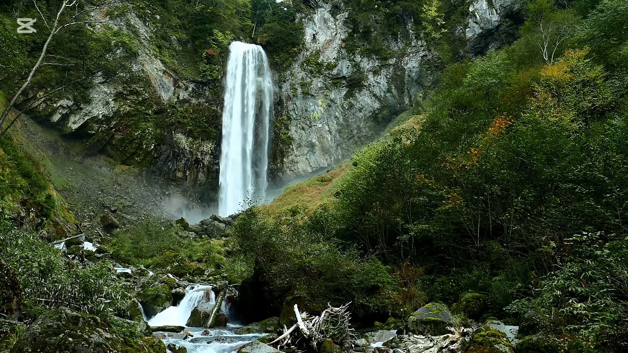 "Kudrat ka Husn 🌿 | Peaceful Nature Scene with Waterfall"