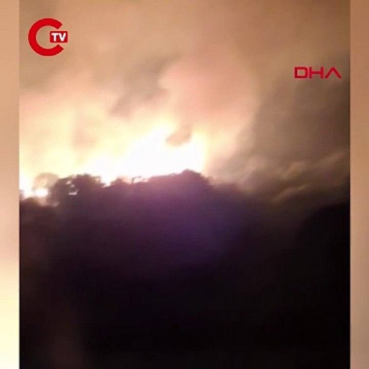 İzmir Dikili'de yangın: 8 saatte kontrol altına alındı!