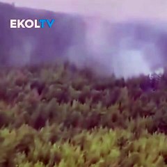 Rus yolcu uçağı düştü! 5'i çocuk 49 kişi öldü