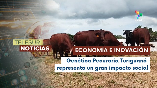 Fundamentos del éxito de la Empresa Genética Pecuaria Turiguanó