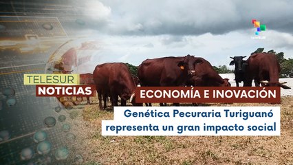 Fundamentos del éxito de la Empresa Genética Pecuaria Turiguanó