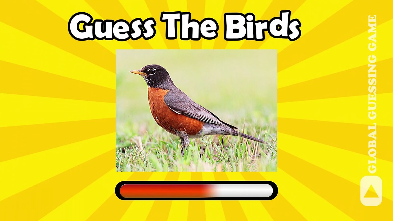 GUESS THE BIRDS QUIZ 2025 – Can You Name Them All?