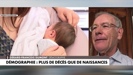 Gérard-François Dumont : «La baisse de la démographie a des conséquences économiques et sociales»