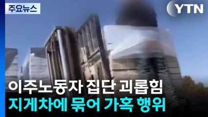 화물에 묶인 채 지게차로 들려 허공에..."인권 유린" / YTN