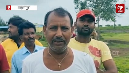 हरेली पर्व का उल्लास, गांवों में निभाई गई पुरातन परंपराएं, गेड़ी और नीम की पत्तियों का बड़ा महत्व