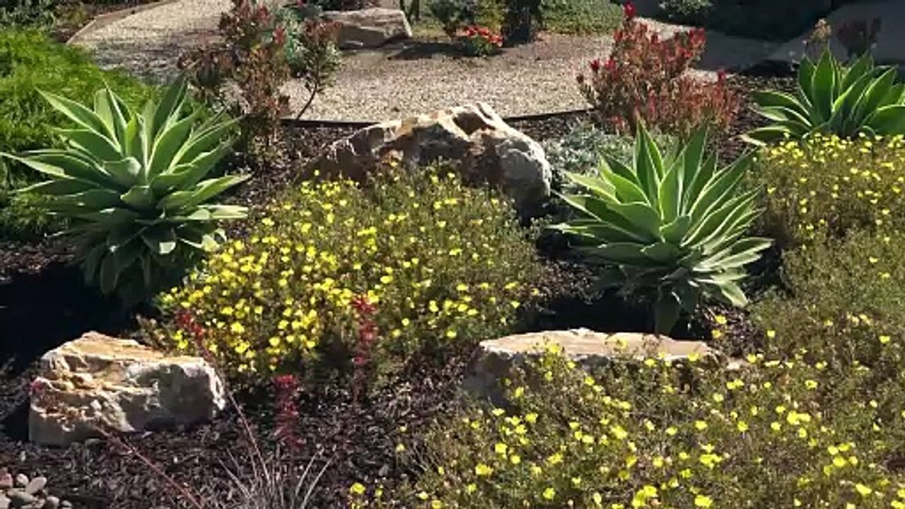 Selling Fast in Phoenix? Watch This First