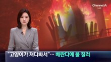 “고양이가 쳐다봐서”…이웃집 베란다에 불 질러