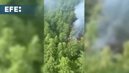 Se estrella un avión con 43 pasajeros en el extremo oriente ruso