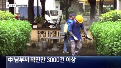 모기 물려 3000명 감염…中서 열병 확산
