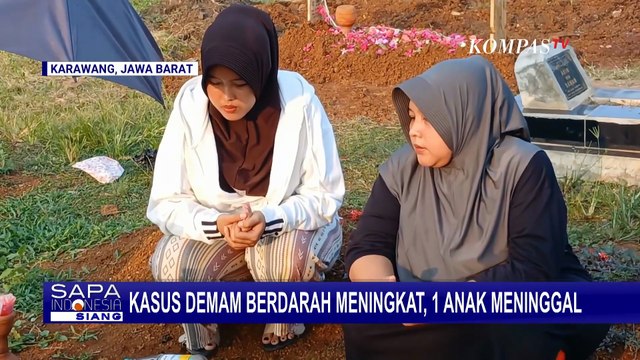 Kasus DBD Melonjak Drastis di Karawang: Anak 11 Tahun Meninggal, Jumlah Korban Terus Bertambah!