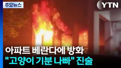 난동 부리다가 "고양이 기분 나쁘다"...아파트에 방화 / YTN