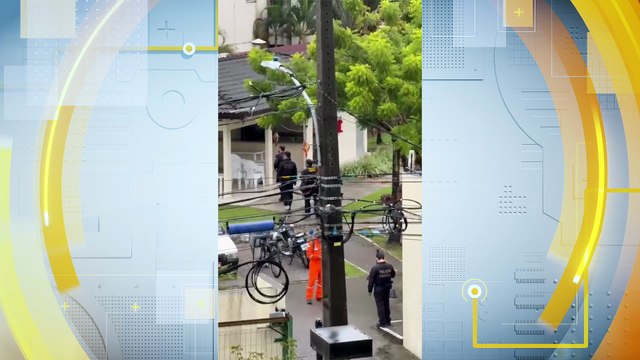 caça aos predadores online: prisão em flagrante por compartilhamento e armazenamento de pornografia infantil em pujuca