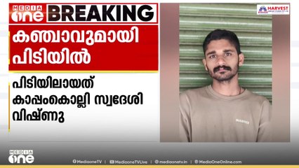 വയനാട് മേപ്പാടിൽ ഒരു കിലോ കഞ്ചാവുമായി യുവാവ് പിടിയിൽ
