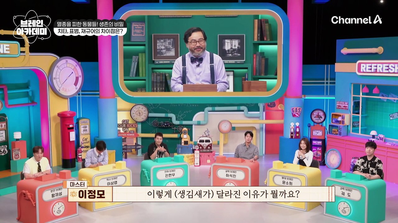첫문제부터 고양이 등장?! 무늬만 보고 치타, 표범, 재규어 구분하기
