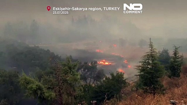 حرائق الغابات في تركيا تخلّف 10 قتلى والنيران تحاصر فرق الإطفاء
