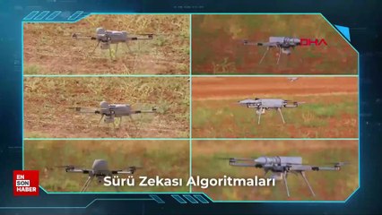 İHA KARGU'lardan sürü operasyonu