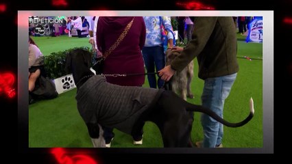 Autos y más- miércoles 23 de julio 2025