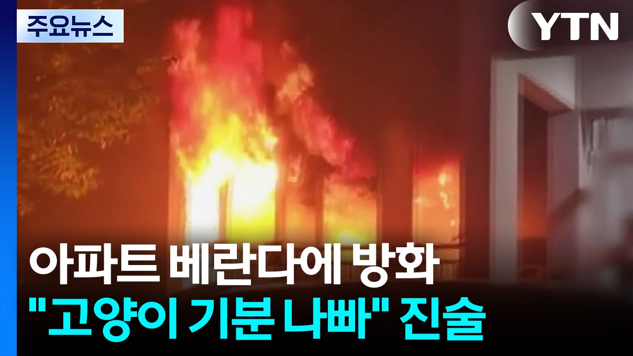 난동 부리다가 "고양이 기분 나쁘다"...아파트에 방화 / YTN