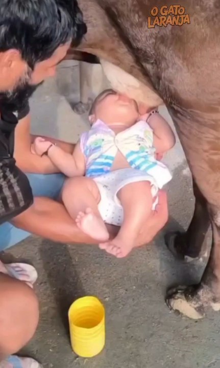 Pai coloca bebê para tomar leite direto de vaca e gera polêmica em redes sociais