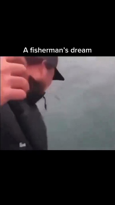 🤣🤣🤣