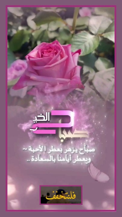 فلنتخفف - صباح الخير