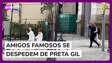 Ana Carolina, Fernanda Torres e outros famosos se despedem de Preta Gil no Rio