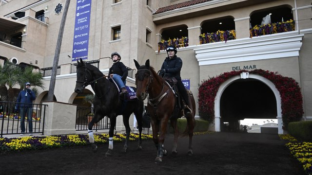 Exploring the Form and Challenges of San Diego Stakes