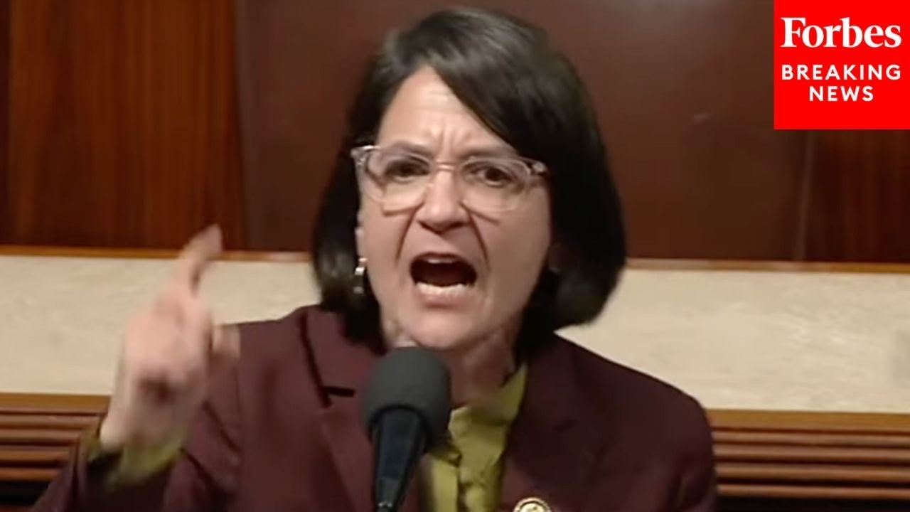 'This Is Not What Americans Want!': Becca Balint Explodes On House Floor