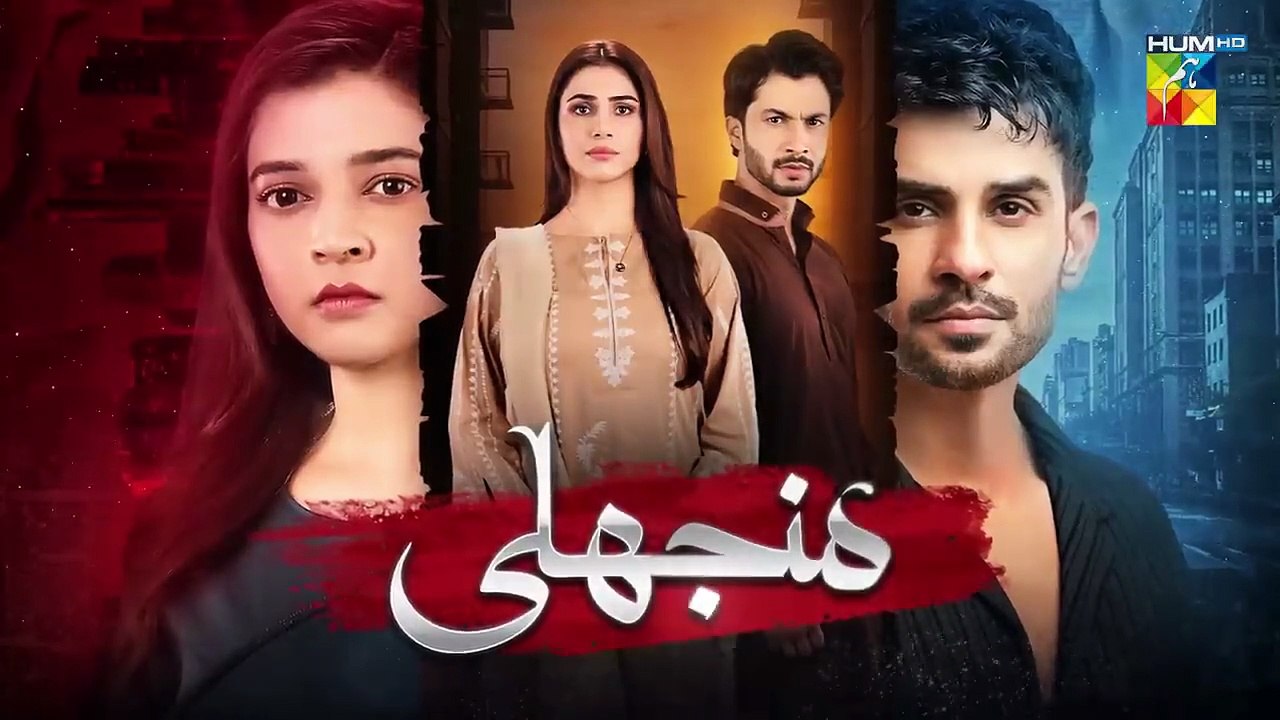 Manjhli - Episode 42 - 24th July 2025 DramasVideo