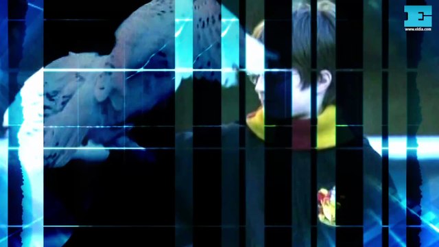 Cine: La gran apuesta de Marvel: “Los 4 Fantásticos” y “Los tipos malos 2”: los bandoleros van al espacio